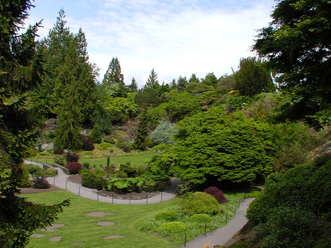 Quarry Garden