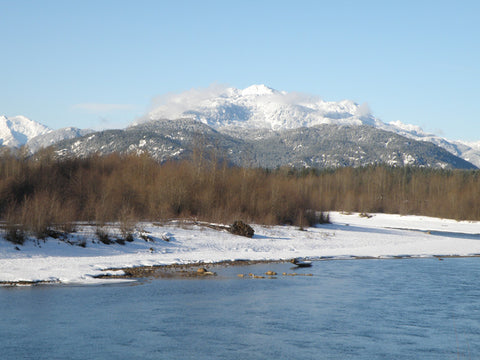 Snowy Mountains